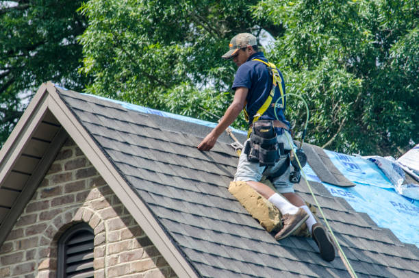 Roof Repair Estimates in Fruitland, NC